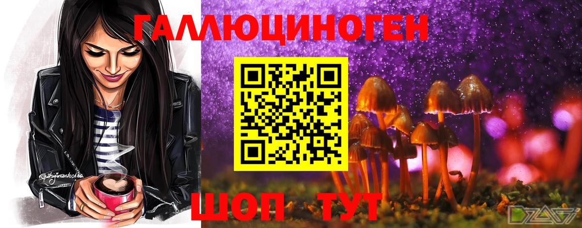 Галлюциногенные грибы ЛСД Звенигород