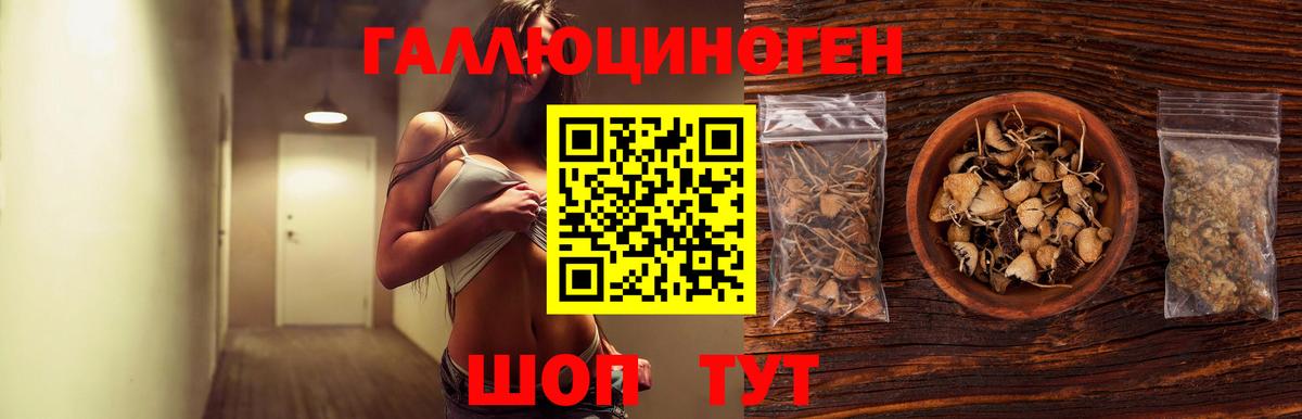 Галлюциногенные грибы Magic Shrooms  Вход с VPN  Звенигород  даркнет сайт  Псилоцибиновые грибы GOLDEN TEACHER 